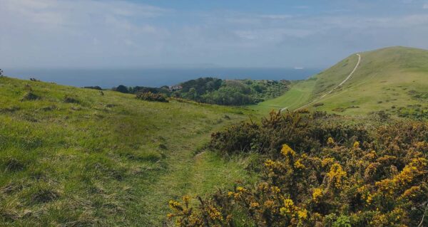 Earthworks-on-Bindon-Hill