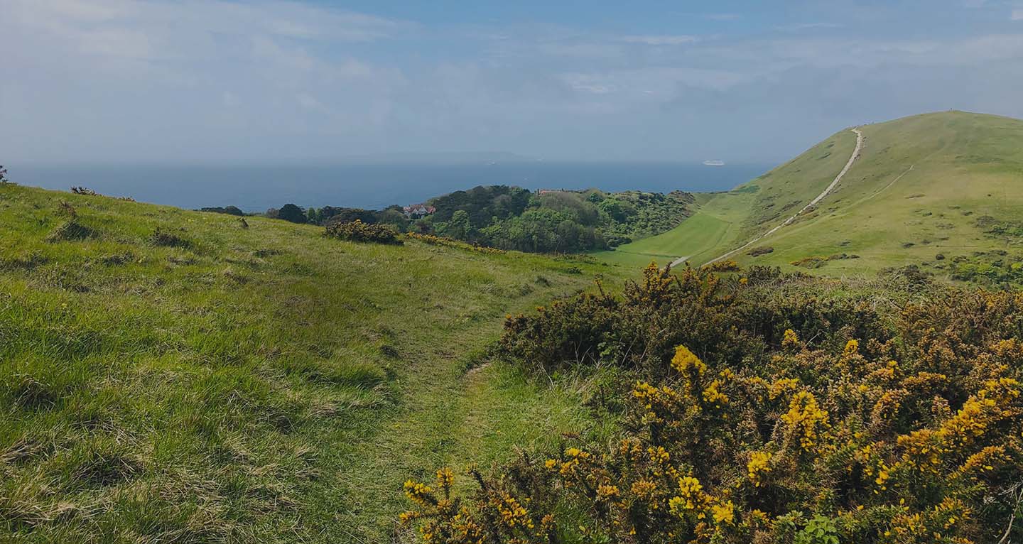 Earthworks-on-Bindon-Hill