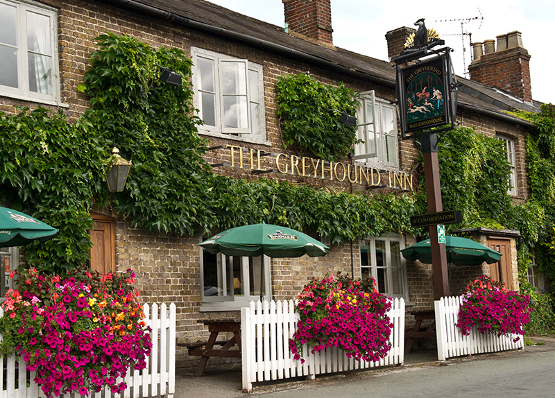 The Greyhound