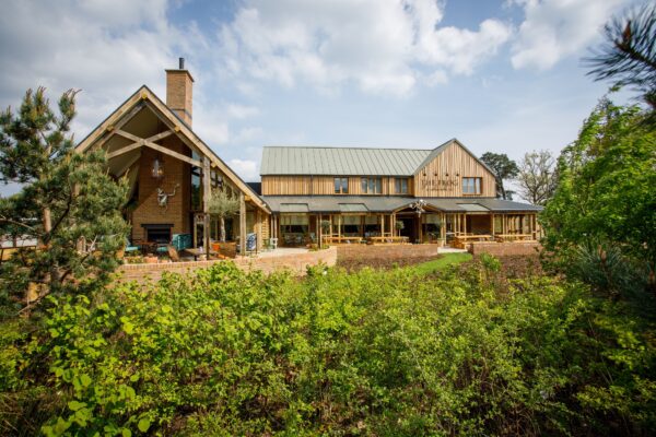 The Frog exterior
