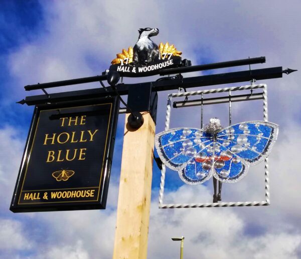The Holly Blue