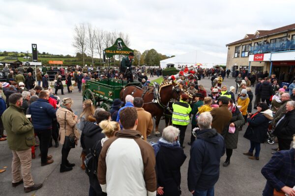 Wincanton Badger Chase 2021 Dray